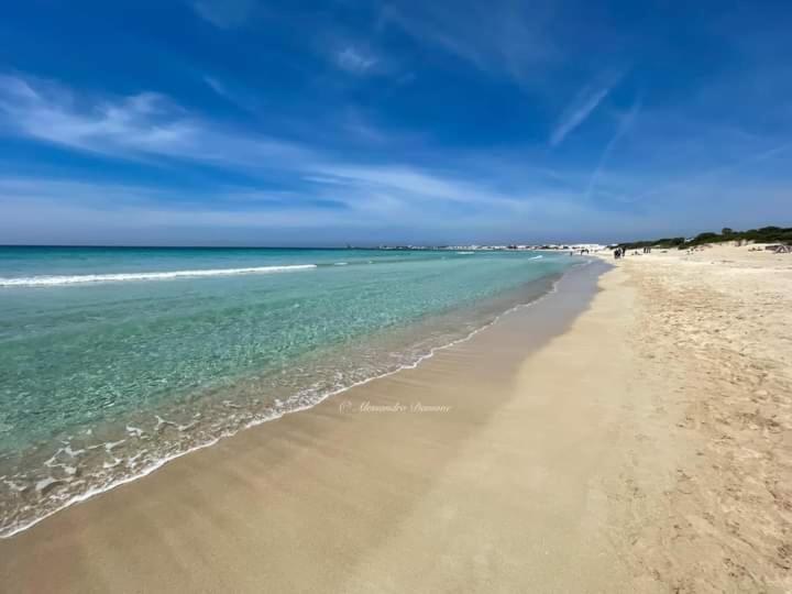 Ferienwohnung Le Tre Coccinelle Porto Cesareo Exterior foto